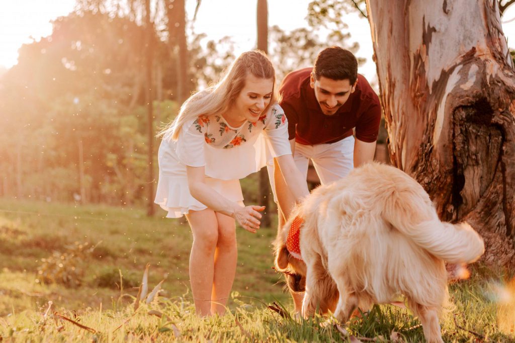 Background - Familia Cão